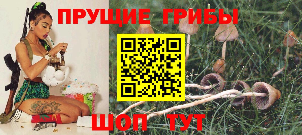 Галлюциногенные грибы Psilocybine cubensis  Псилоцибиновые грибы мицелий  Вход с VPN  Мытищи 